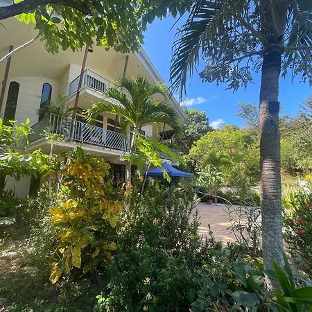 Villa Pura Vida Matapalo  Bagian luar foto
