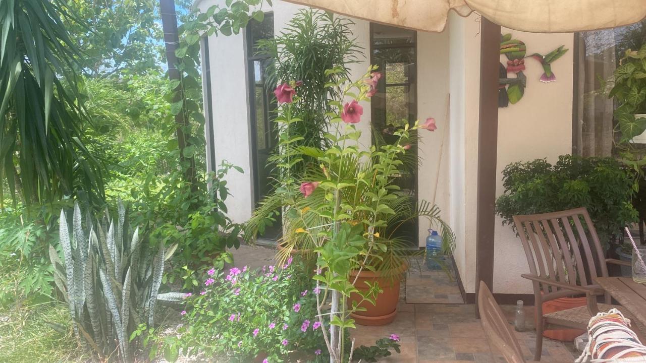 Villa Pura Vida Matapalo  Bagian luar foto