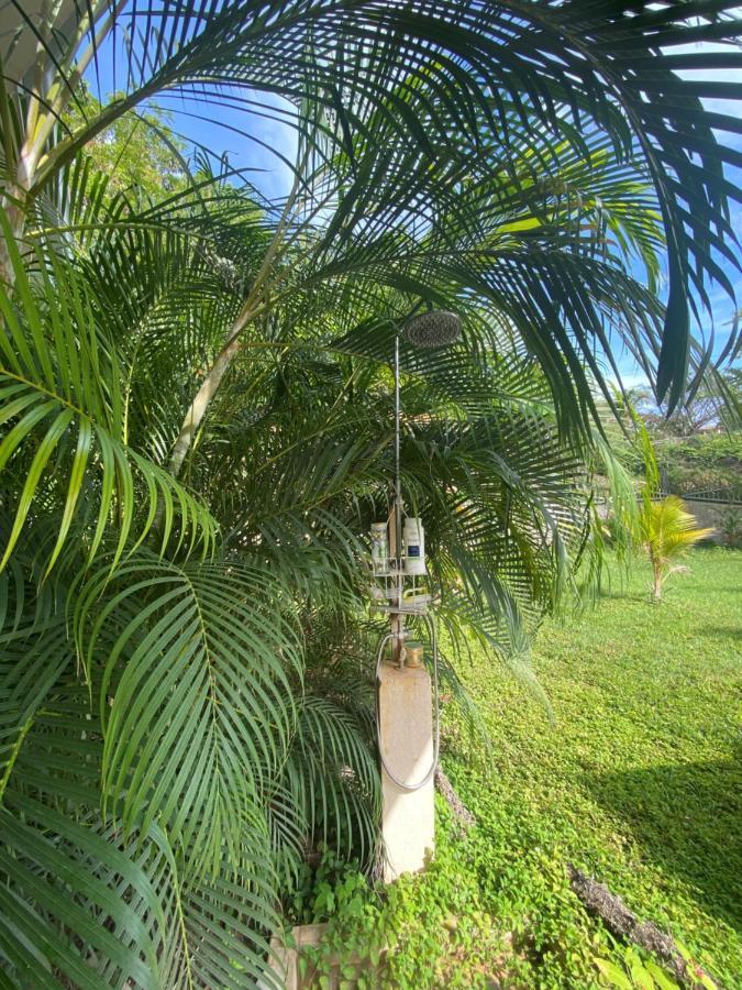 Villa Pura Vida Matapalo  Bagian luar foto
