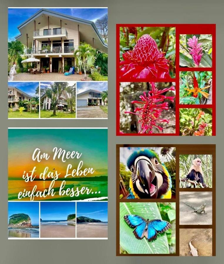 Villa Pura Vida Matapalo  Bagian luar foto