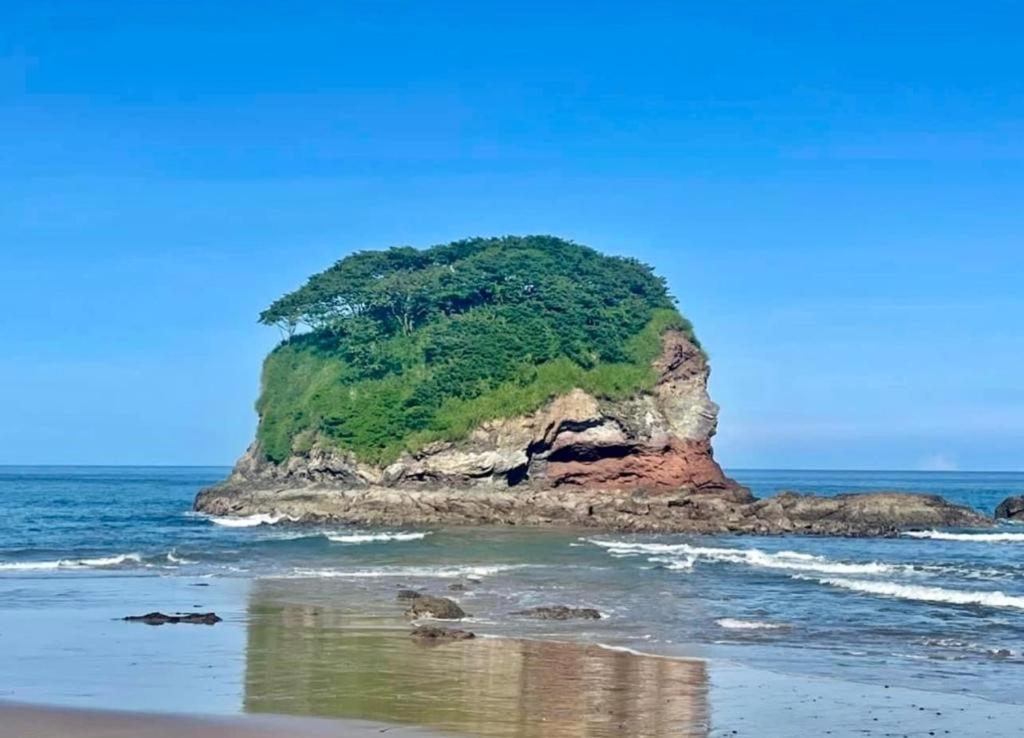 Villa Pura Vida Matapalo  Bagian luar foto