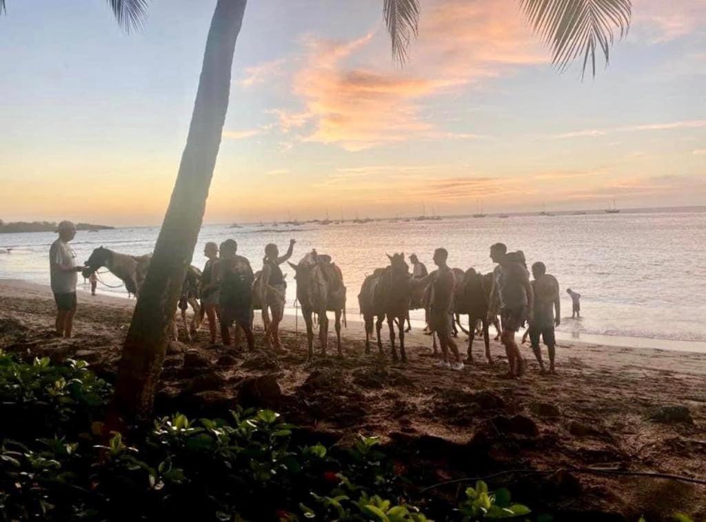 Villa Pura Vida Matapalo  Bagian luar foto