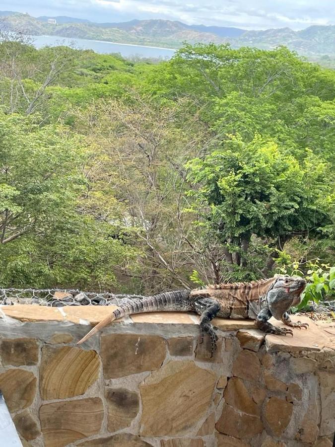 Villa Pura Vida Matapalo  Bagian luar foto