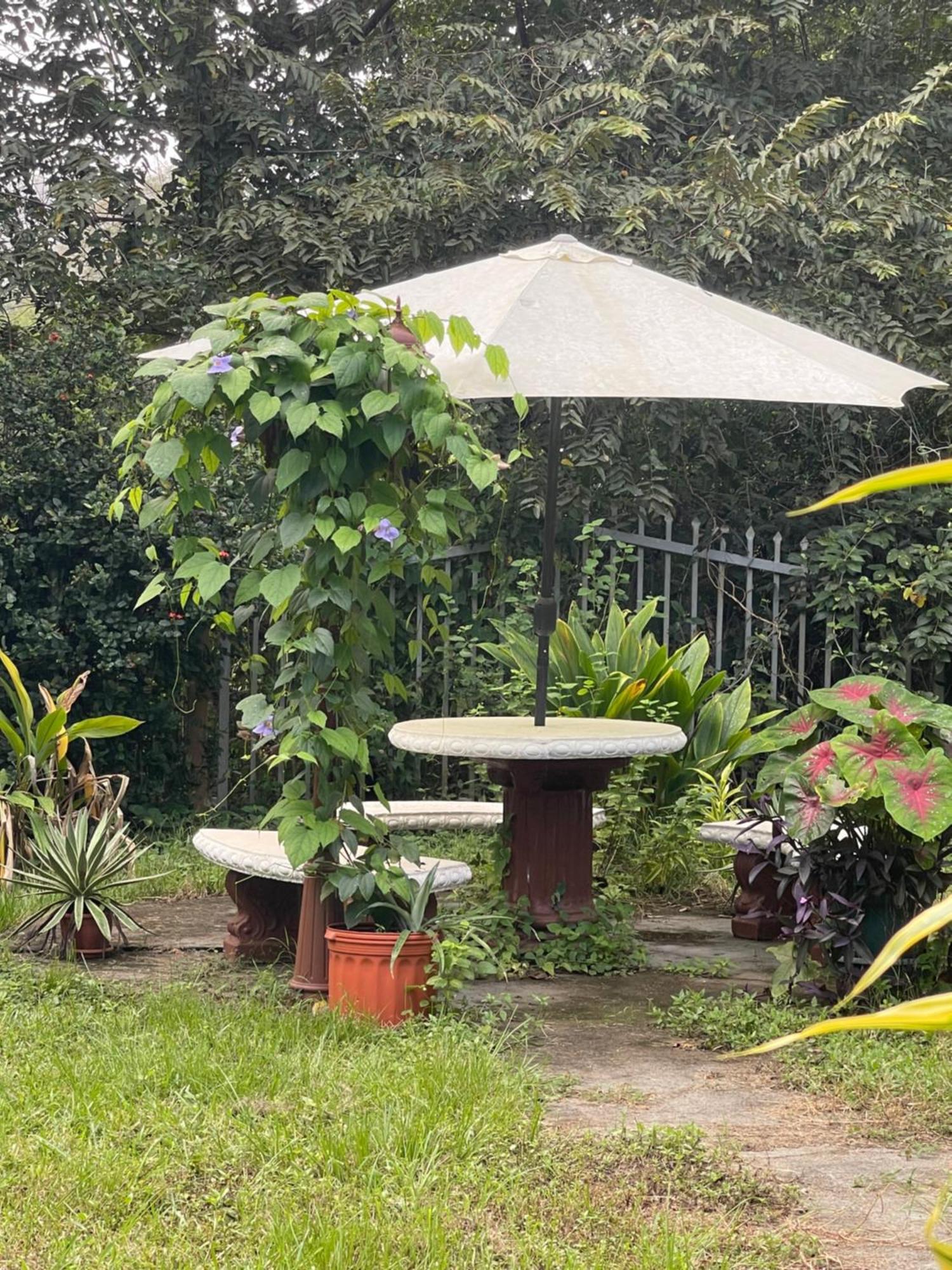 Villa Pura Vida Matapalo  Bagian luar foto